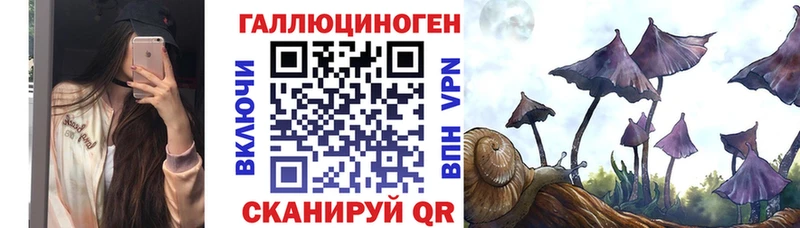 OMG онион  Ясногорск  Галлюциногенные грибы GOLDEN TEACHER  что такое наркотик 